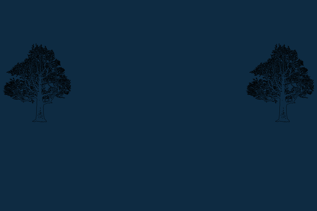 parallax background